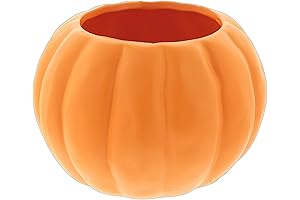 Tiny Ceramic Pumpkin Planter: Autumn Decor for Your Home