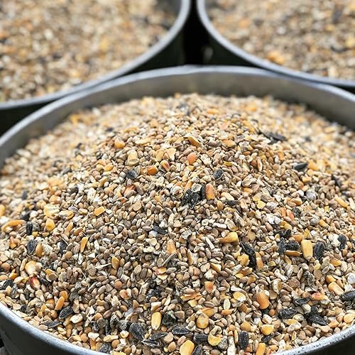 Miniatura 6 de Homestead Harvest Mezcla de capas de grano entero sin OMG 16% para gallinas ponedoras o patos 40 libras