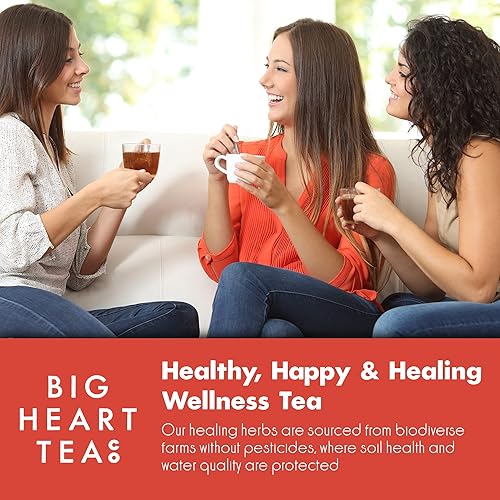 Miniatura 5 de Big Heart Tea Co. Bolsas de té Fiery Masala Chai - Té descafeinado de hierbas ayurvédicas orgánicas certificadas con pequeñas hierbas dulces molidas