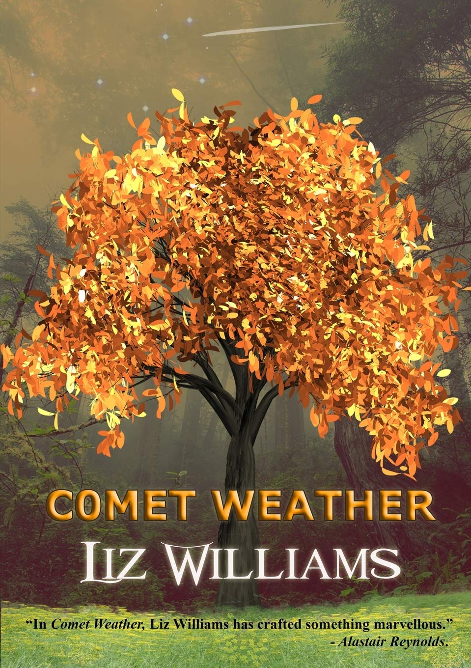 Liz Williams - Comet Weather - Paperback Book