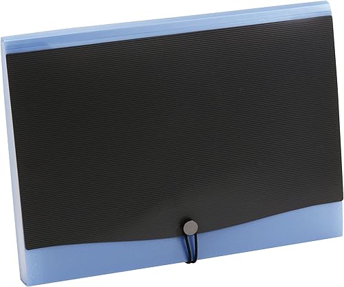 Pendaflex Archivo expandible profesional de 13 bolsillos, tamaño carta, surtido (sin elección de color) (82113)