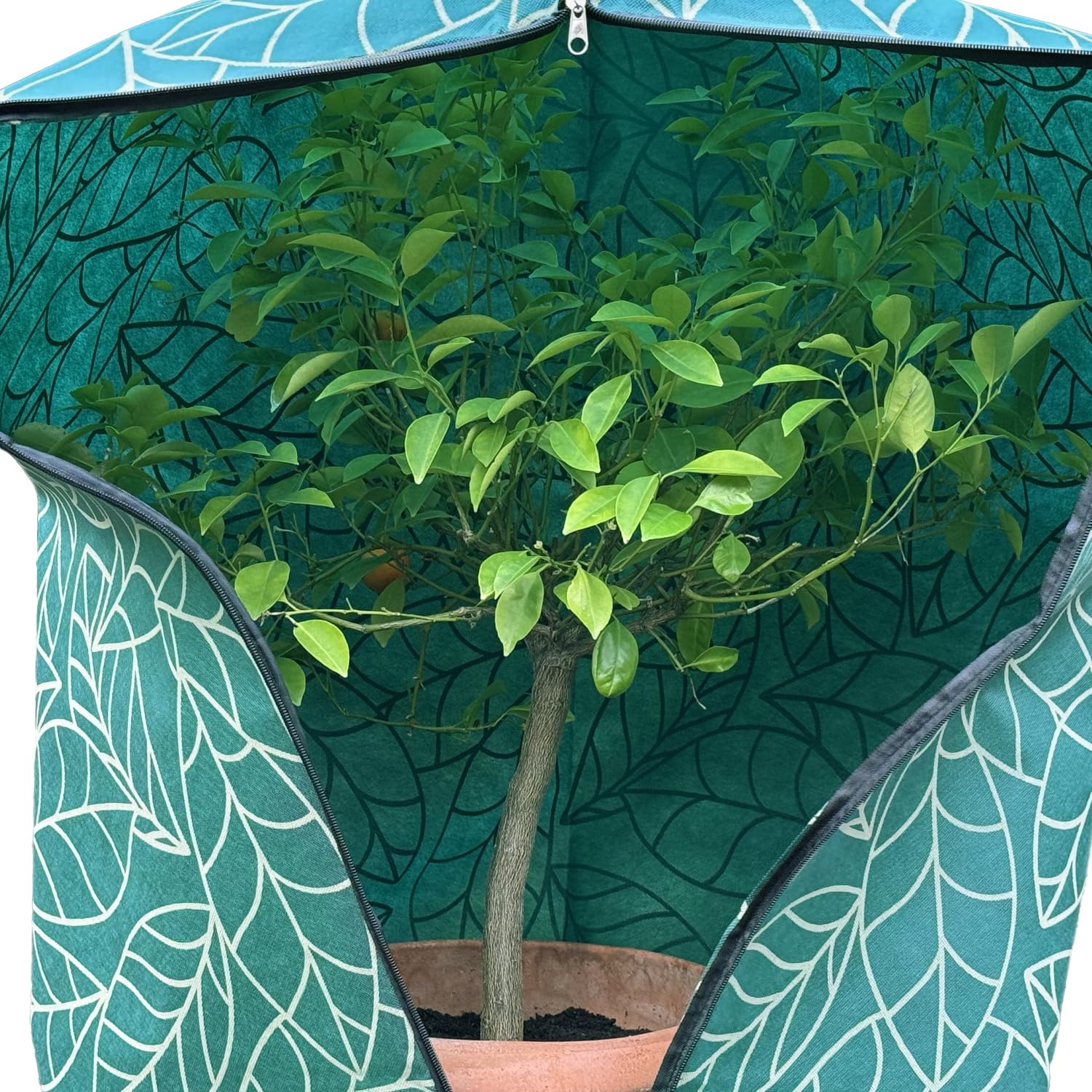 Housses De Protection Pour Plantes, 4 Pièces 80 60cm Voile Hivernage Plante Exterieur Avec Zip Housse Hivernage Plante Exterieur Toile Hivernage Plante Exterieur Pour Plante En Pot 87413511