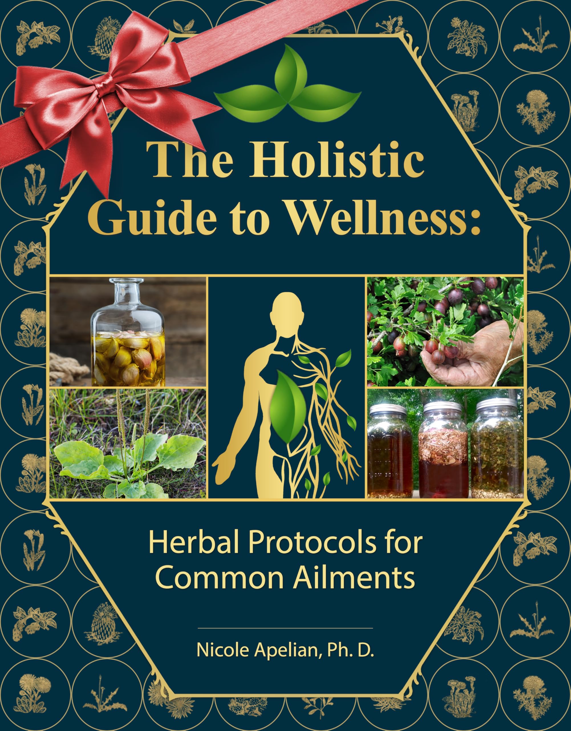 The Holistic Guide to Wellness : Herbal Protocols for Common Ailments Paperback – March 20, 2023