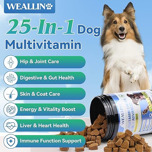 Miniatura 2 de Vitaminas para perros  Vitaminas y suplementos para perros 25 en 1, multivitamínico con probióticos de glucosamina, omega-3, multivitamínico para