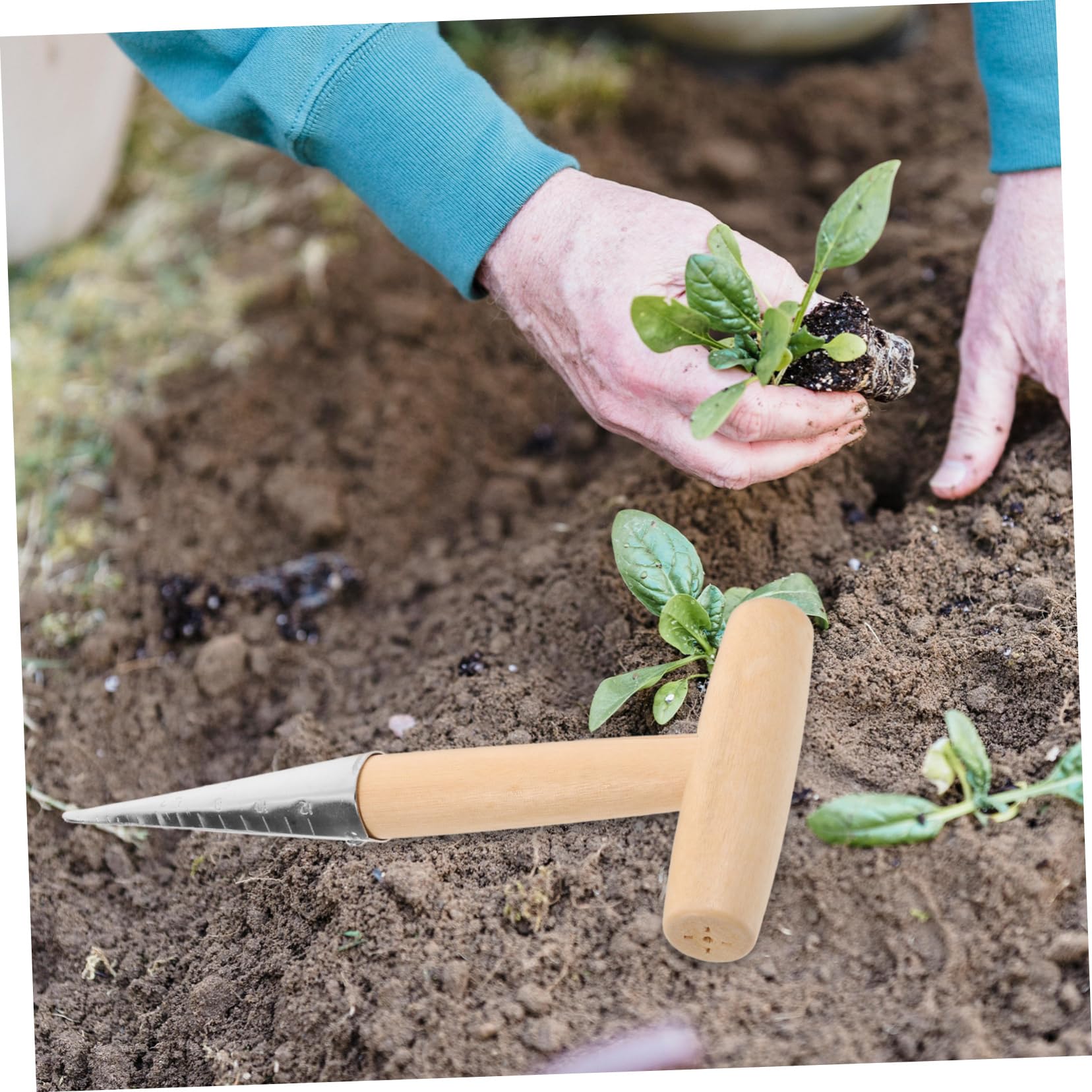 ibasenice 4 Pezzi Attrezzo da Giardinaggio per Trapianto Piante con Ergonomico Strumento per Scavare Bucature per Vasi e Utensile per Fertilizzare Piante