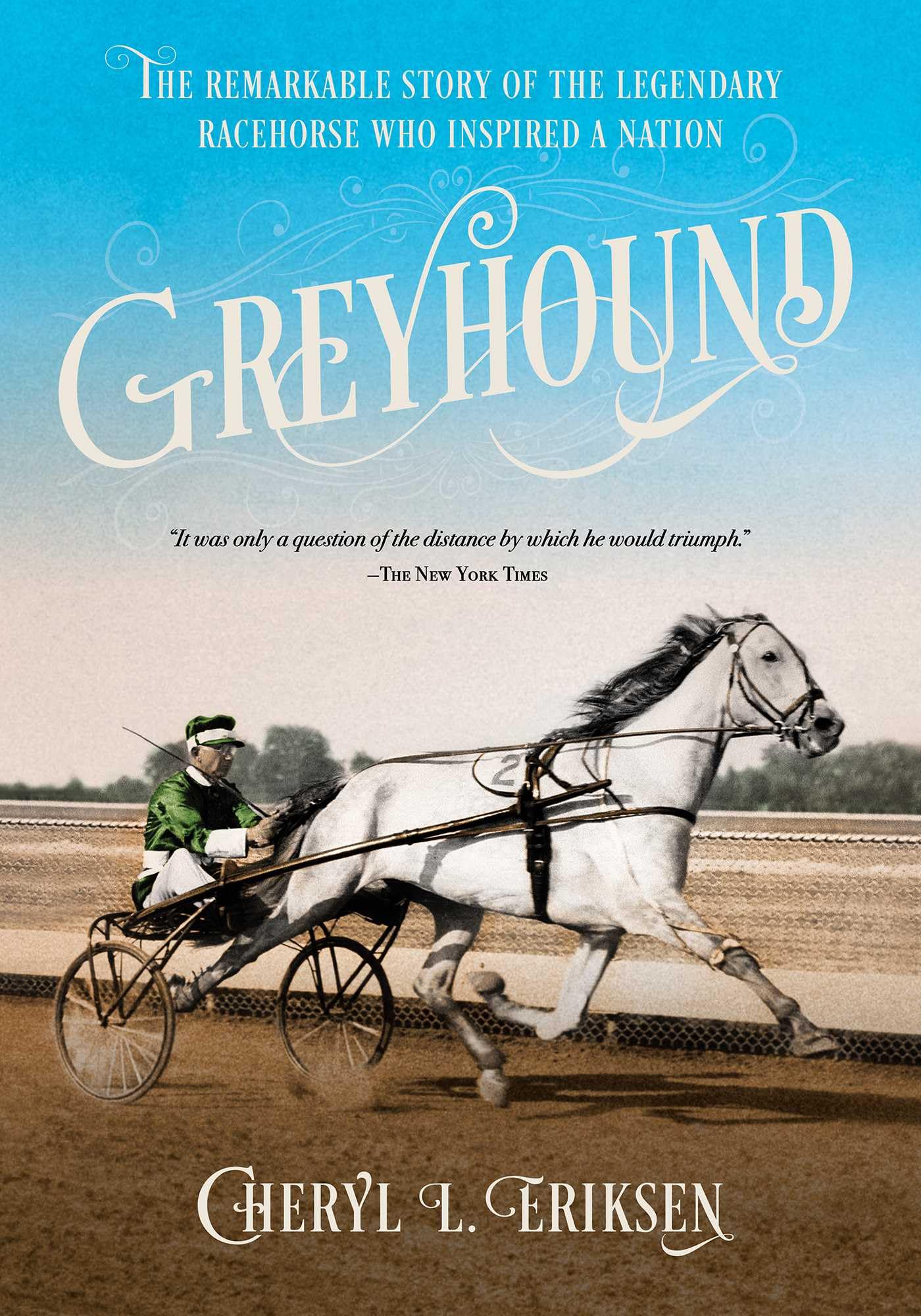 Greyhound by Cheryl Eriksen PAPERBACK 9781646013050