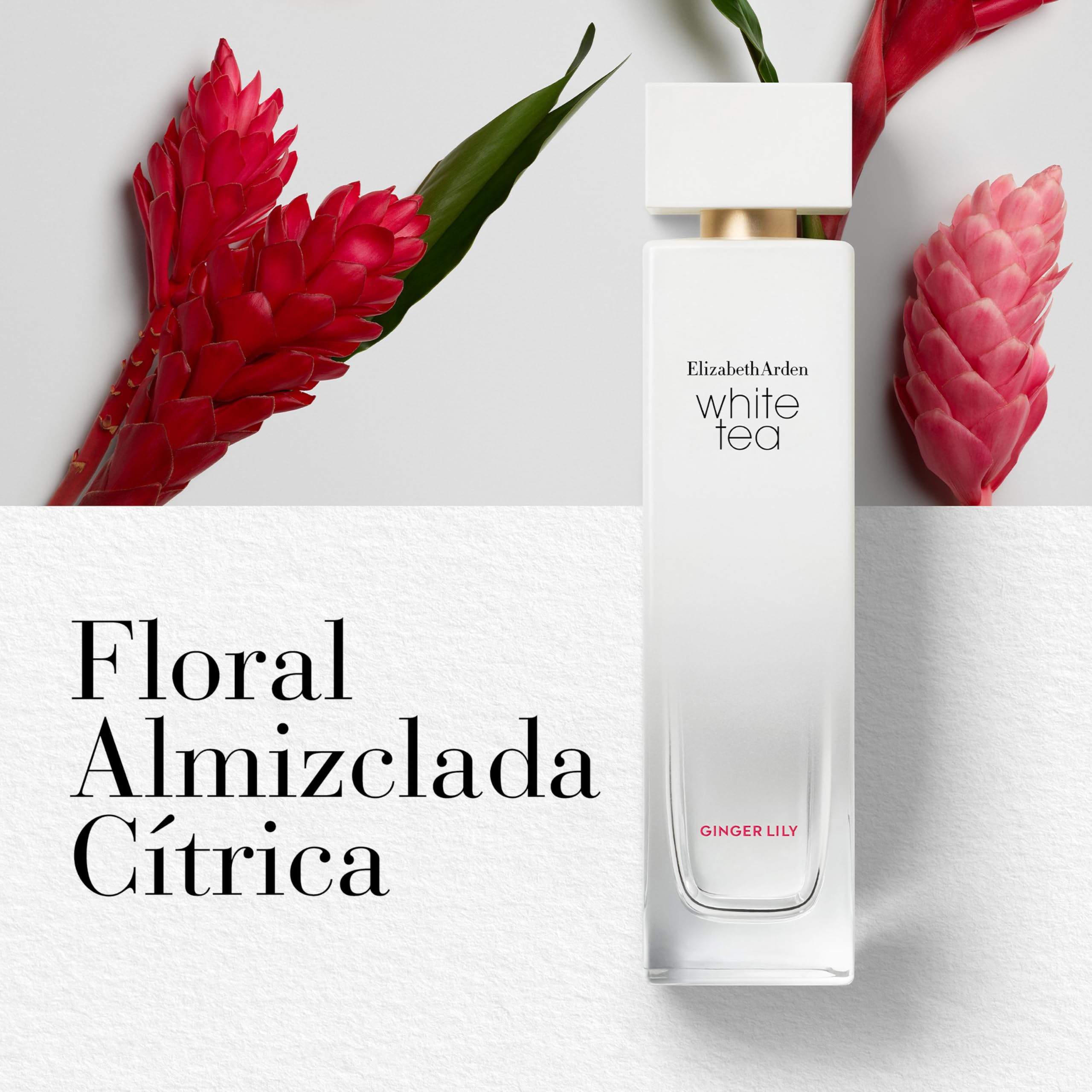 Perfume Mujer Elizabeth Arden EDT 100 ml