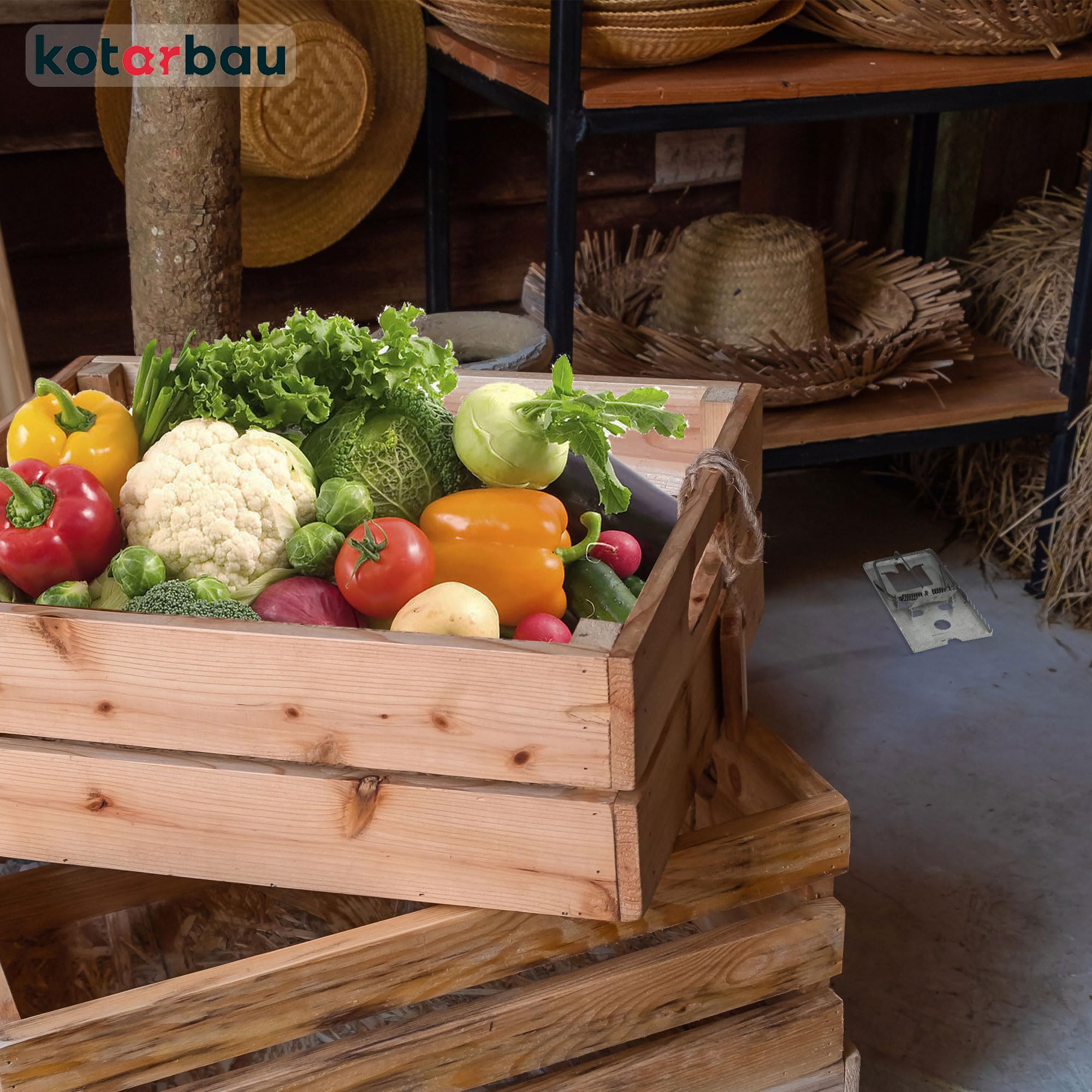 KOTARBAU® Set di 3 trappole per ratti con elevata forza d'impatto per roditori grandi, 170 x 90 mm