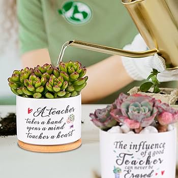 Amazon.com : SAIWEILAI ONLINE 9 Pieces Teacher Appreciation