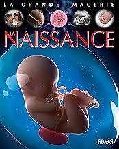 Download La Naissance PDF
