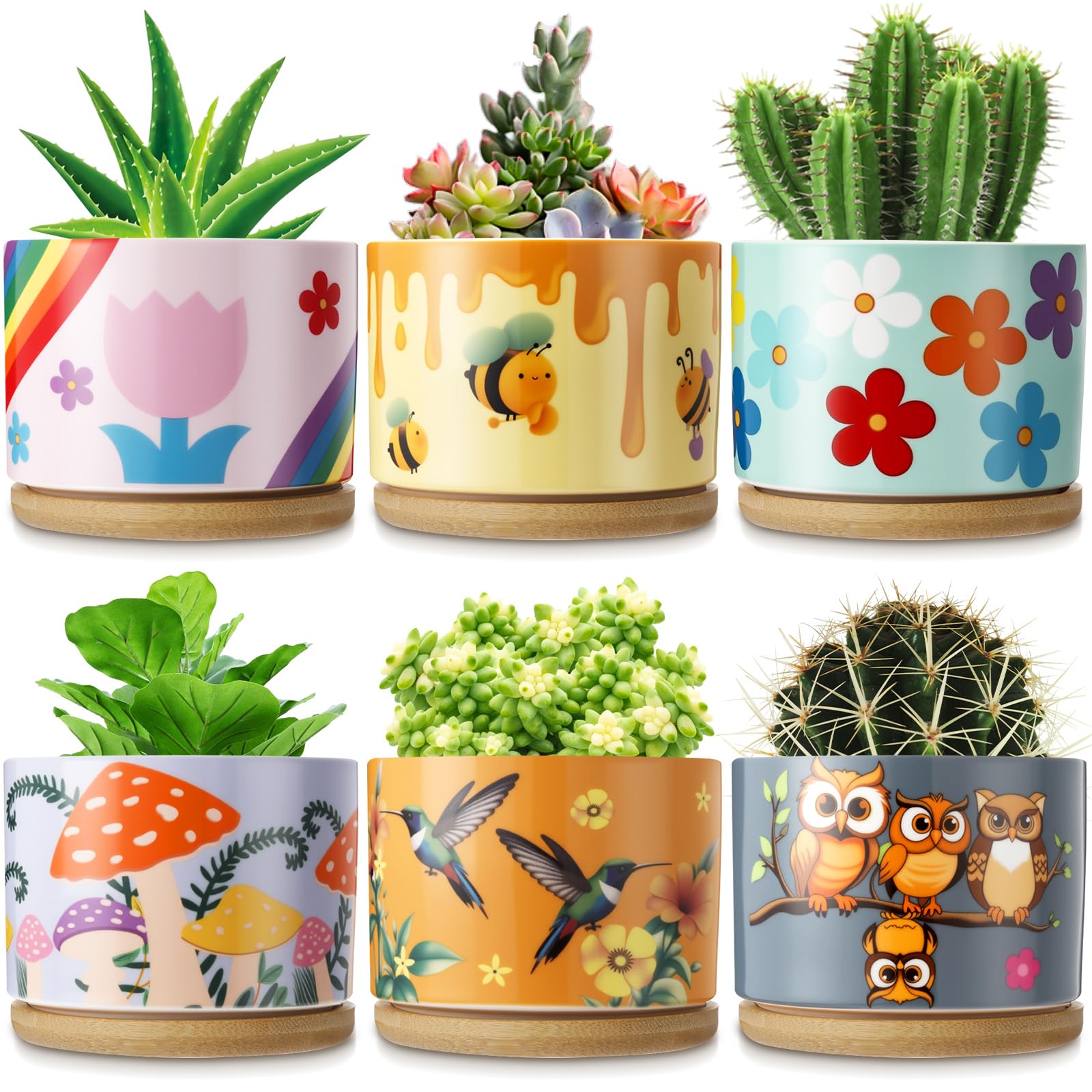 Pots de fleurs succulentes en céramique colorée avec drainage et plateau bambou x6