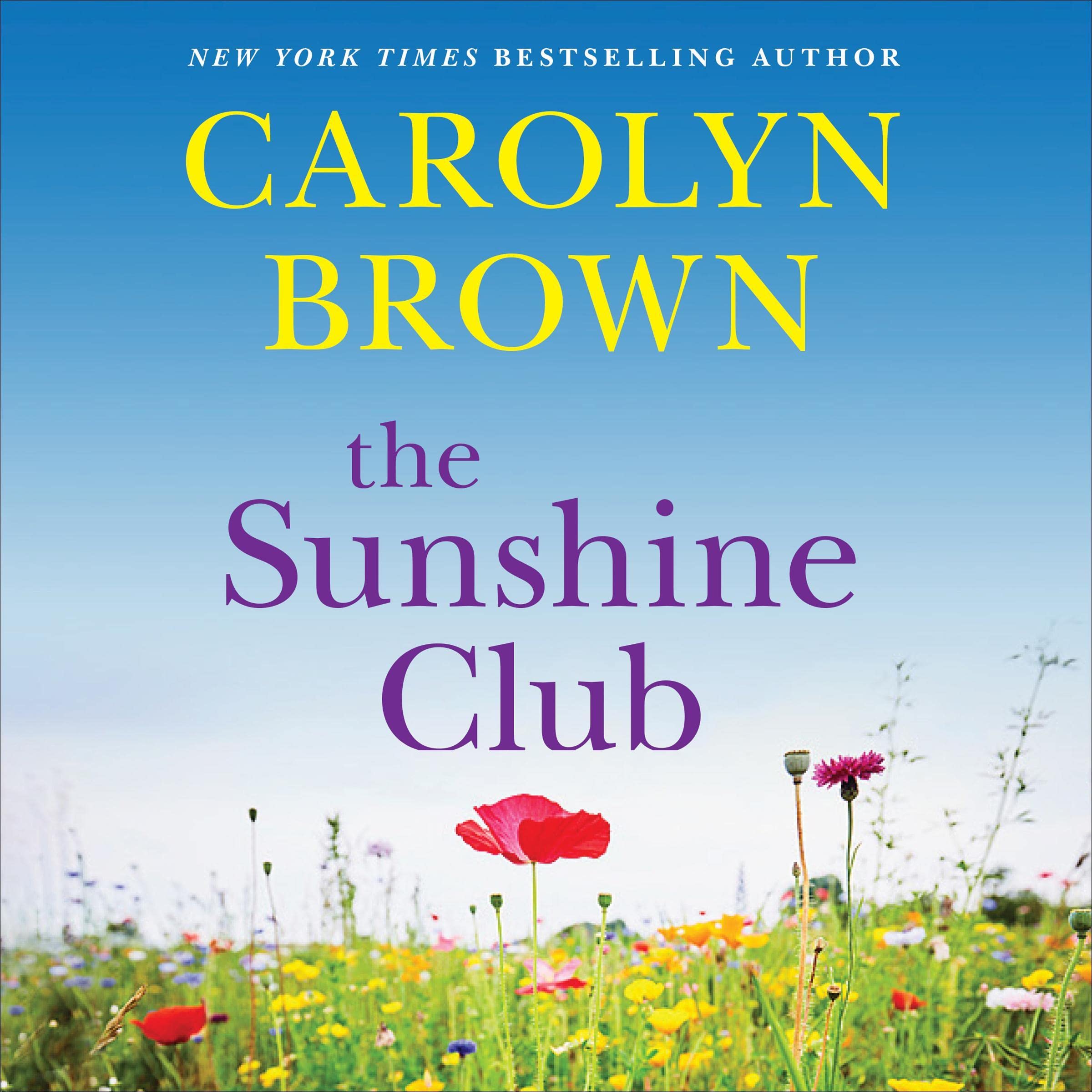 Cover art for The Sunshine Club