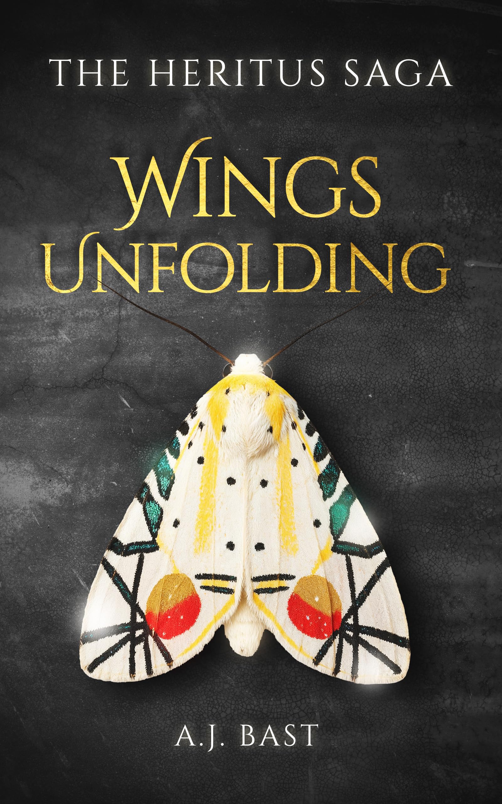 Wings Unfolding (The Heritus Saga Book 1)