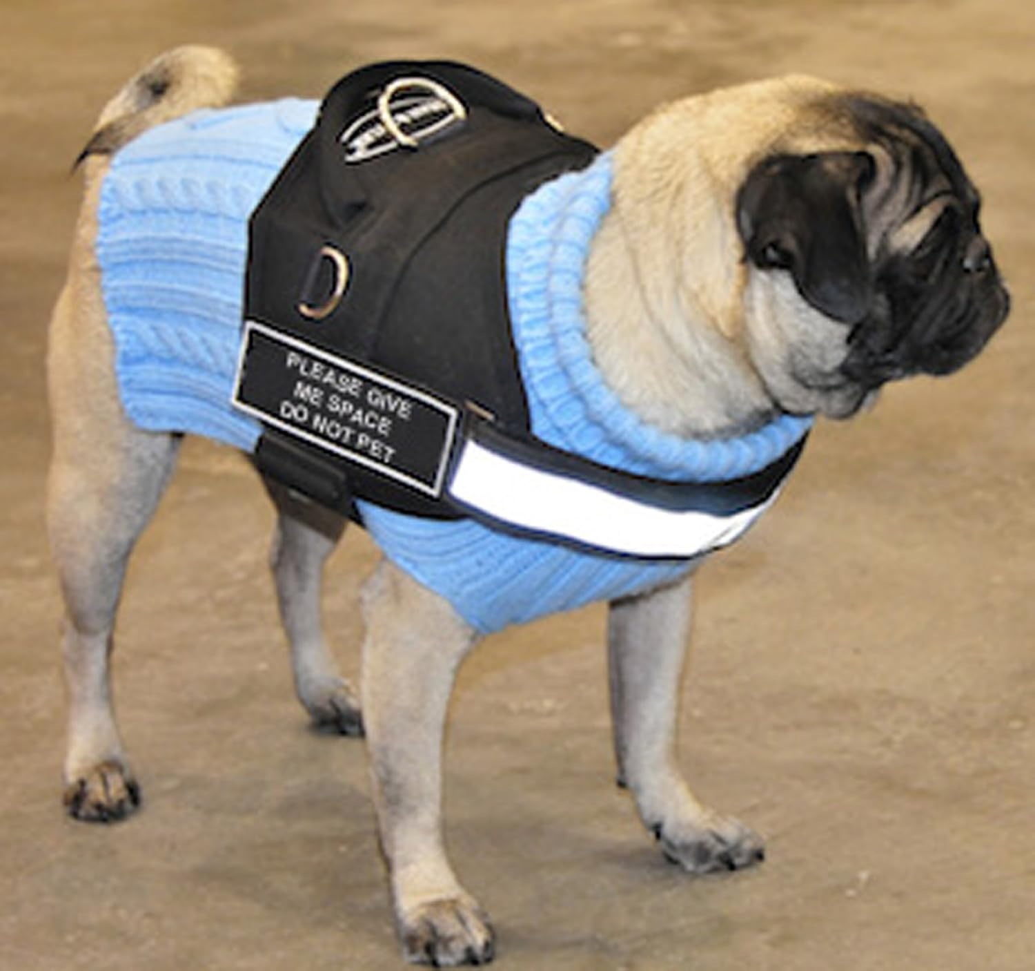 Dean and Tyler DT Works PTSD Dog Harness, Large