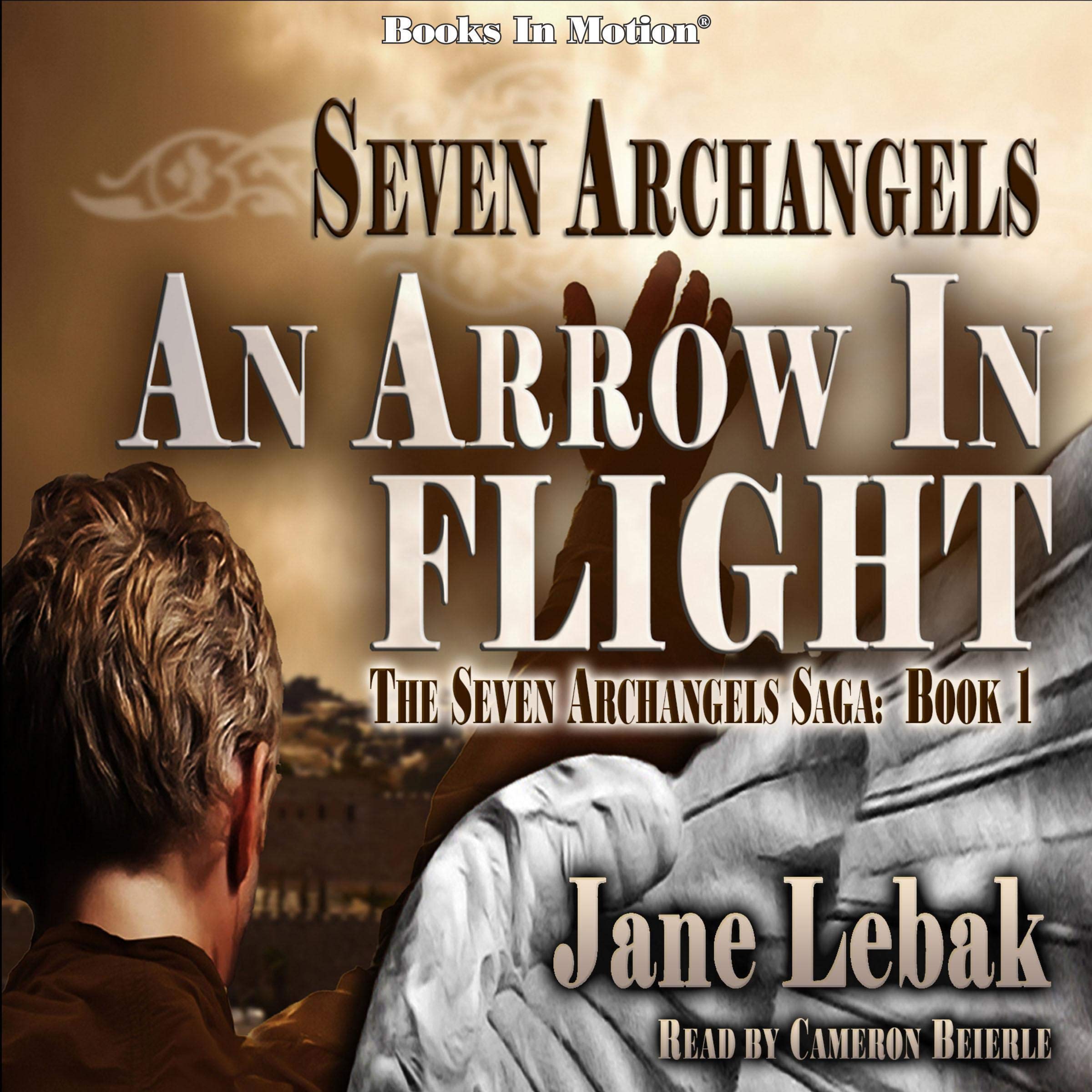 Cover art for An Arrow in Flight