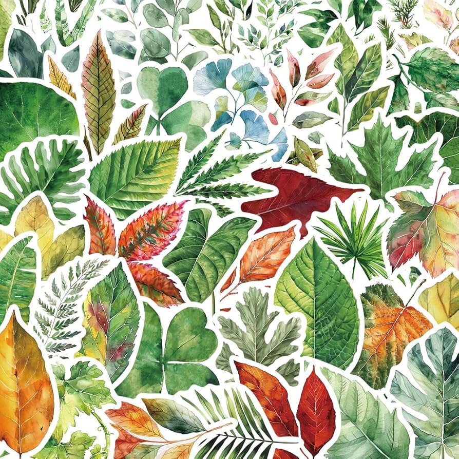 紅葉☆即購入OK様☆専用☆ Amazon｜関家具(Sekikagu) コンパクト仏壇 桐材 和紙張り 国産