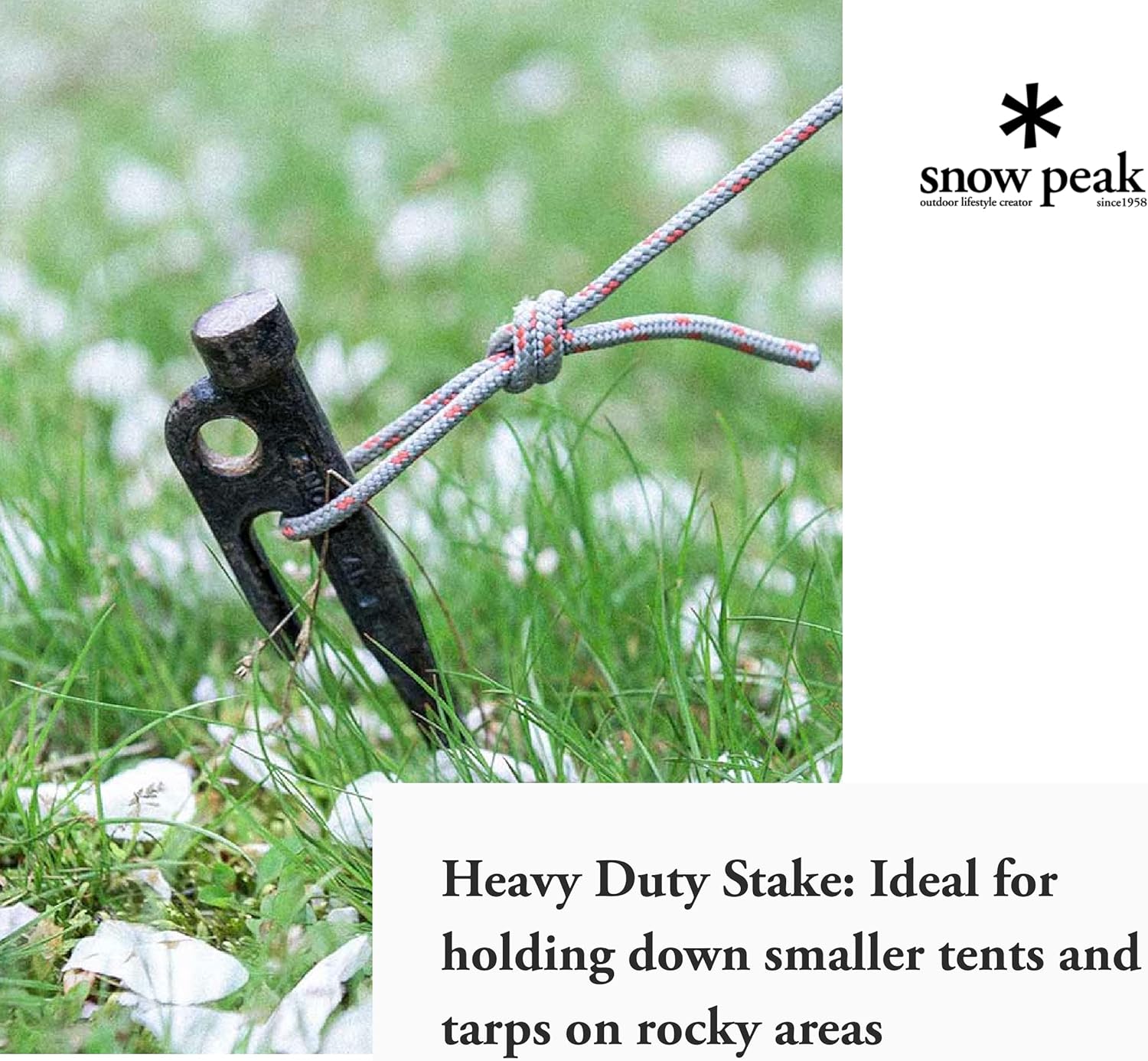Amazon Com Snow Peak Solid Stake Durable Forged Steel Stakes 8 X 0 6 In Everything Else