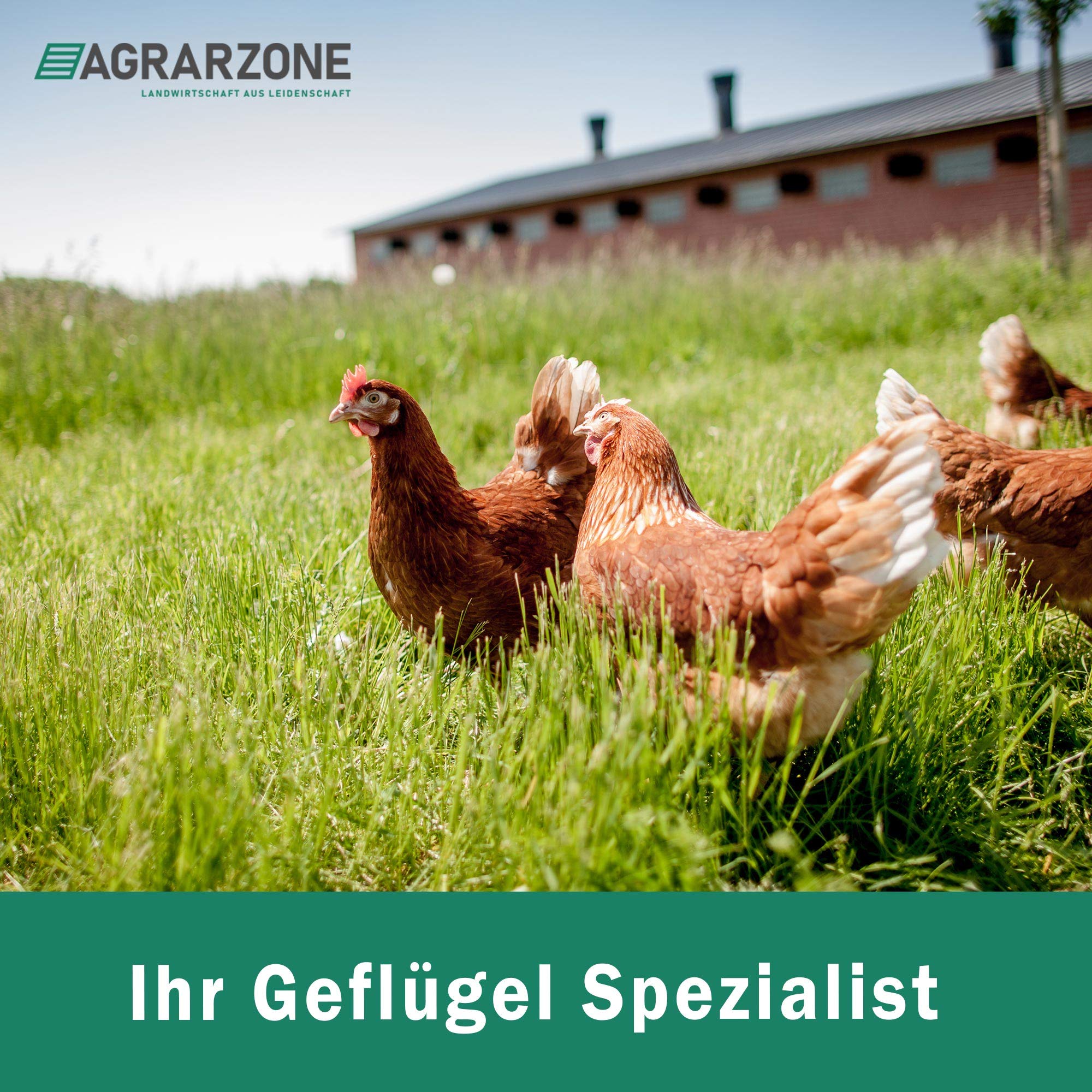 Agrarzone Hühnerzaun Komplett-Set 50m x 112cm Geflügelnetz Weidezaun Hühner | Weidezaungerät, mobiler Geflügelzaun, mit Strom, 12V, 230V