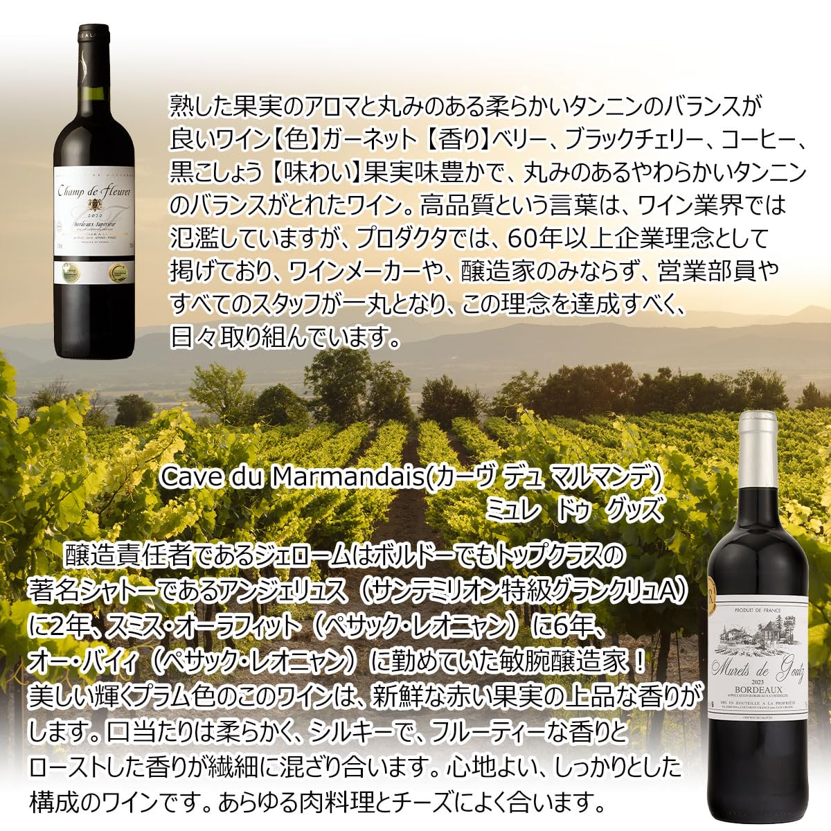 Amazon.co.jp: 新 赤ワインセット 旨い！【“ワイン通”向け】 フランス