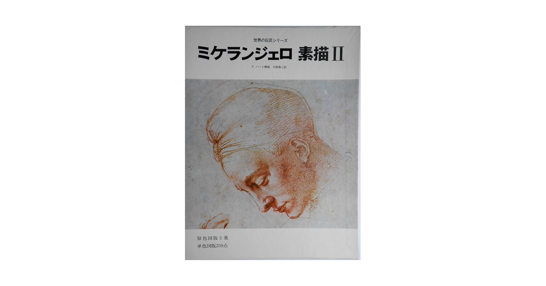 ミケランジェロ　世界の巨匠シリーズ ミケランジェロ Michelangelo―日本語版 (世界の巨匠シリーズ)