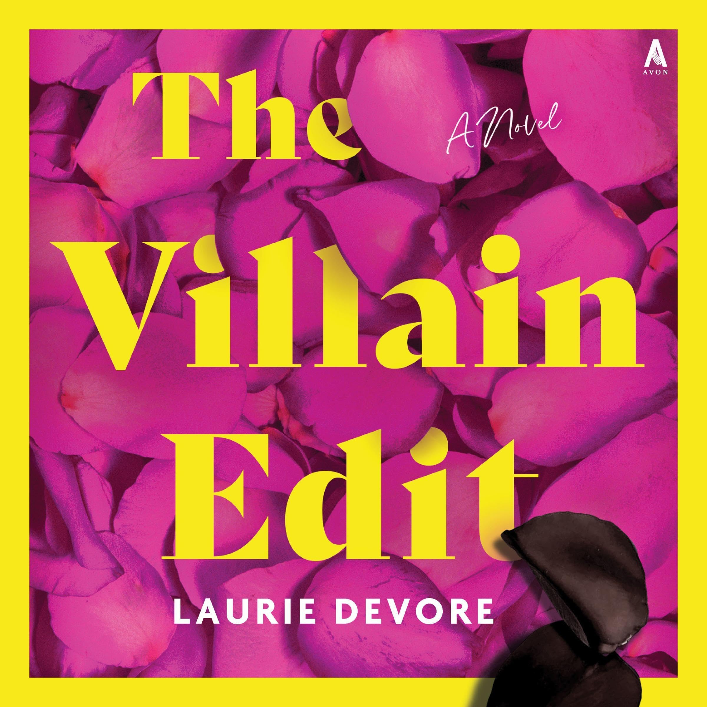Cover art for The Villain Edit