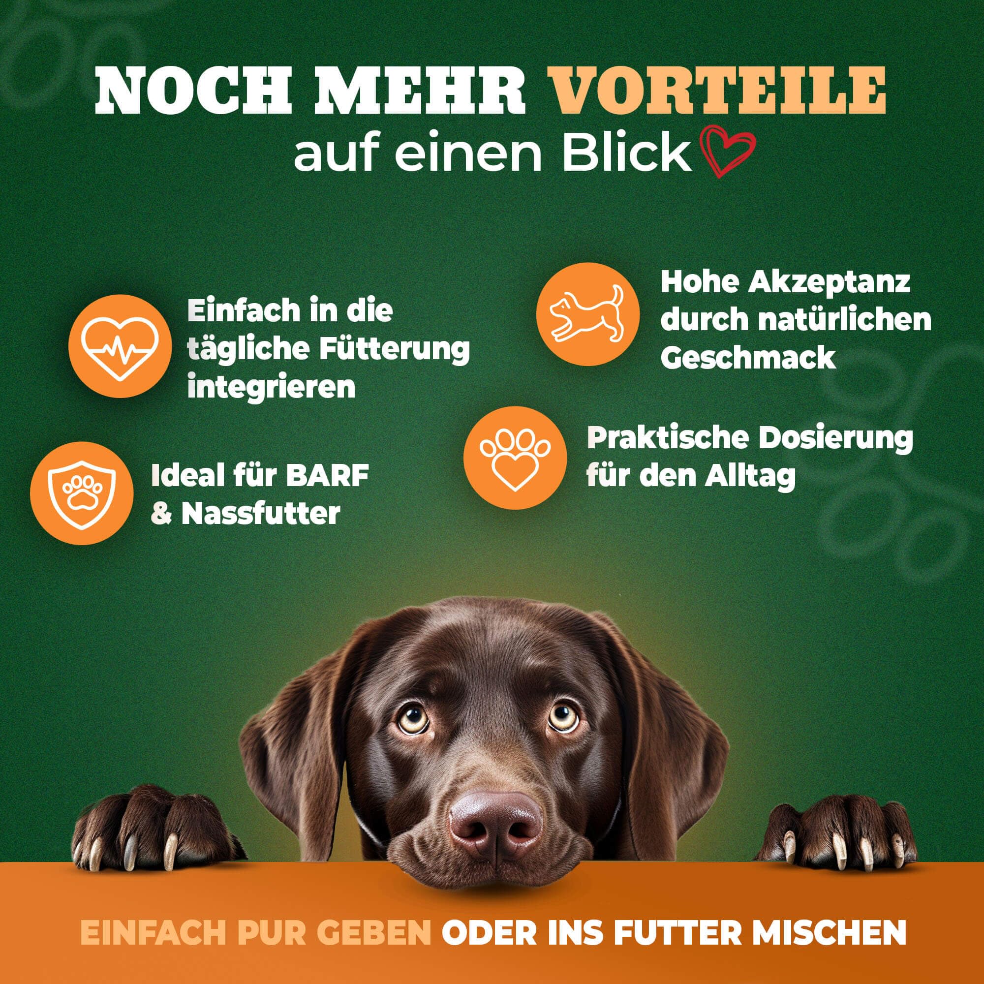 Premium Barf Öl Omega 3 6 9 Hund - 500ml Fischöl für Hunde - Lachsöl Hund - Fischöl flüssig mit Hanfsamenöl - Hochwertiges Barföl Futteröl für Hunde - 100% natürlich - Made in Germany