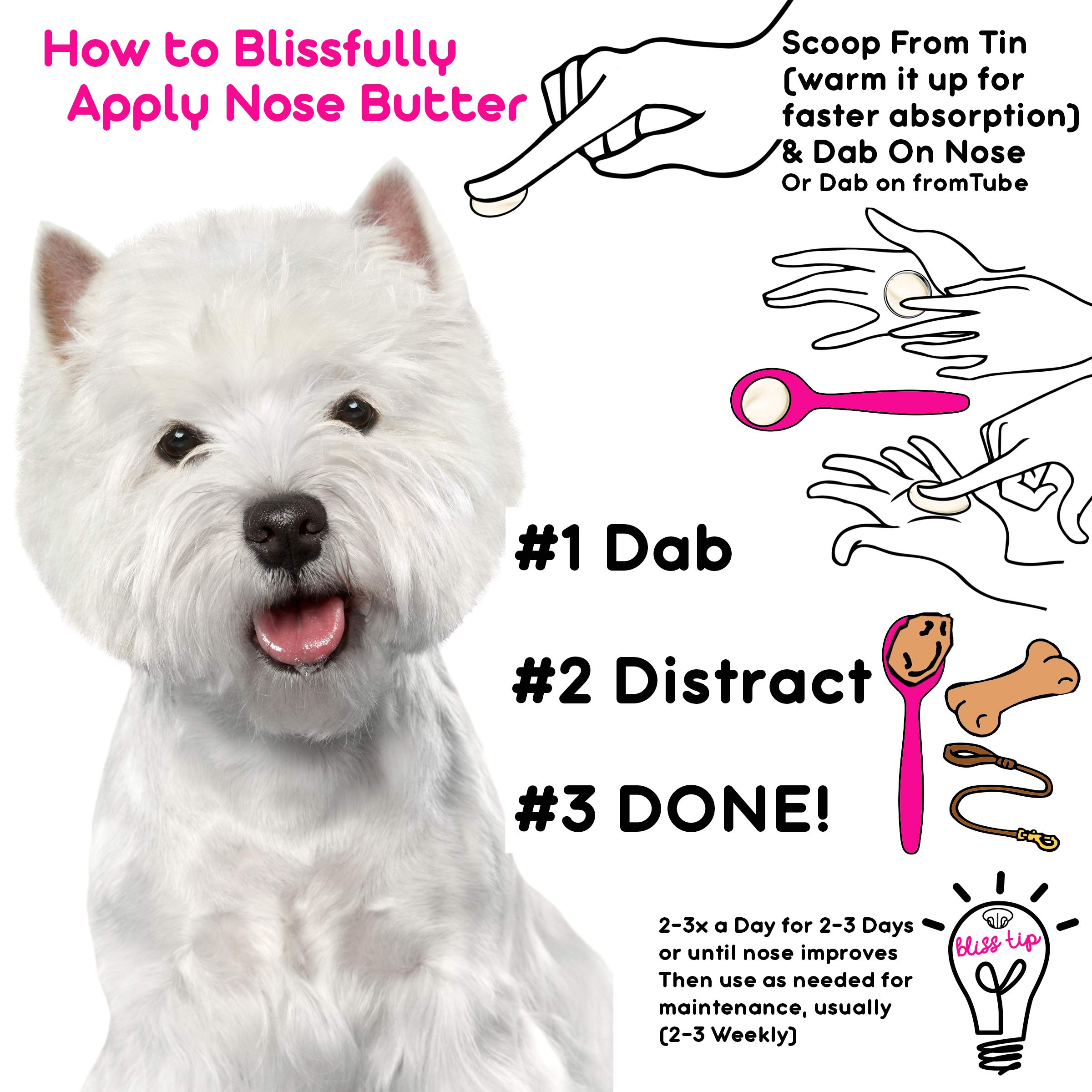 What Age Do Westies Ears Stand Up