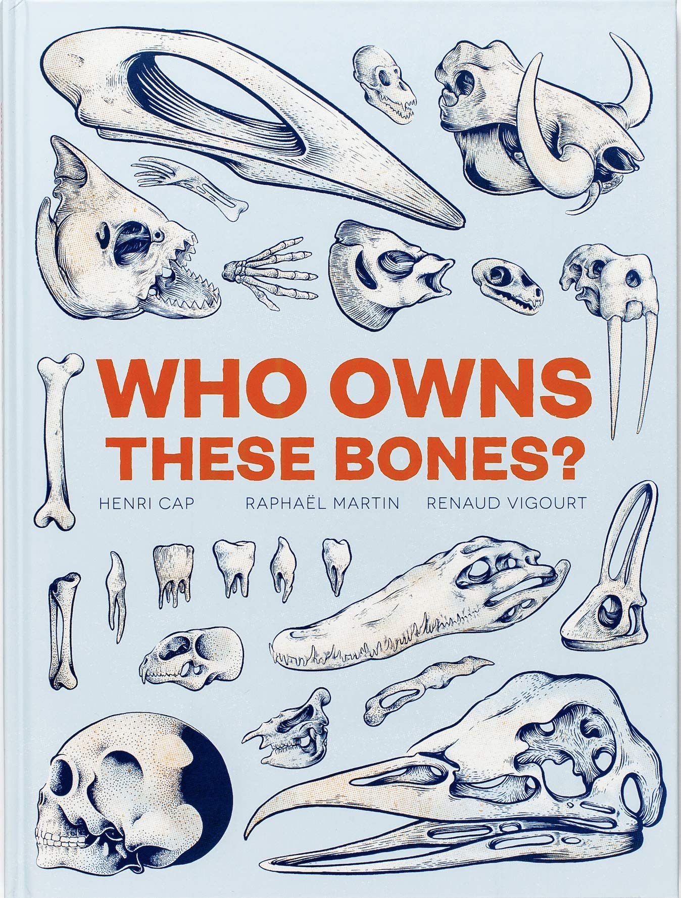 Who Owns These Bones? by Henri Cap HARDBACK 9781786273291