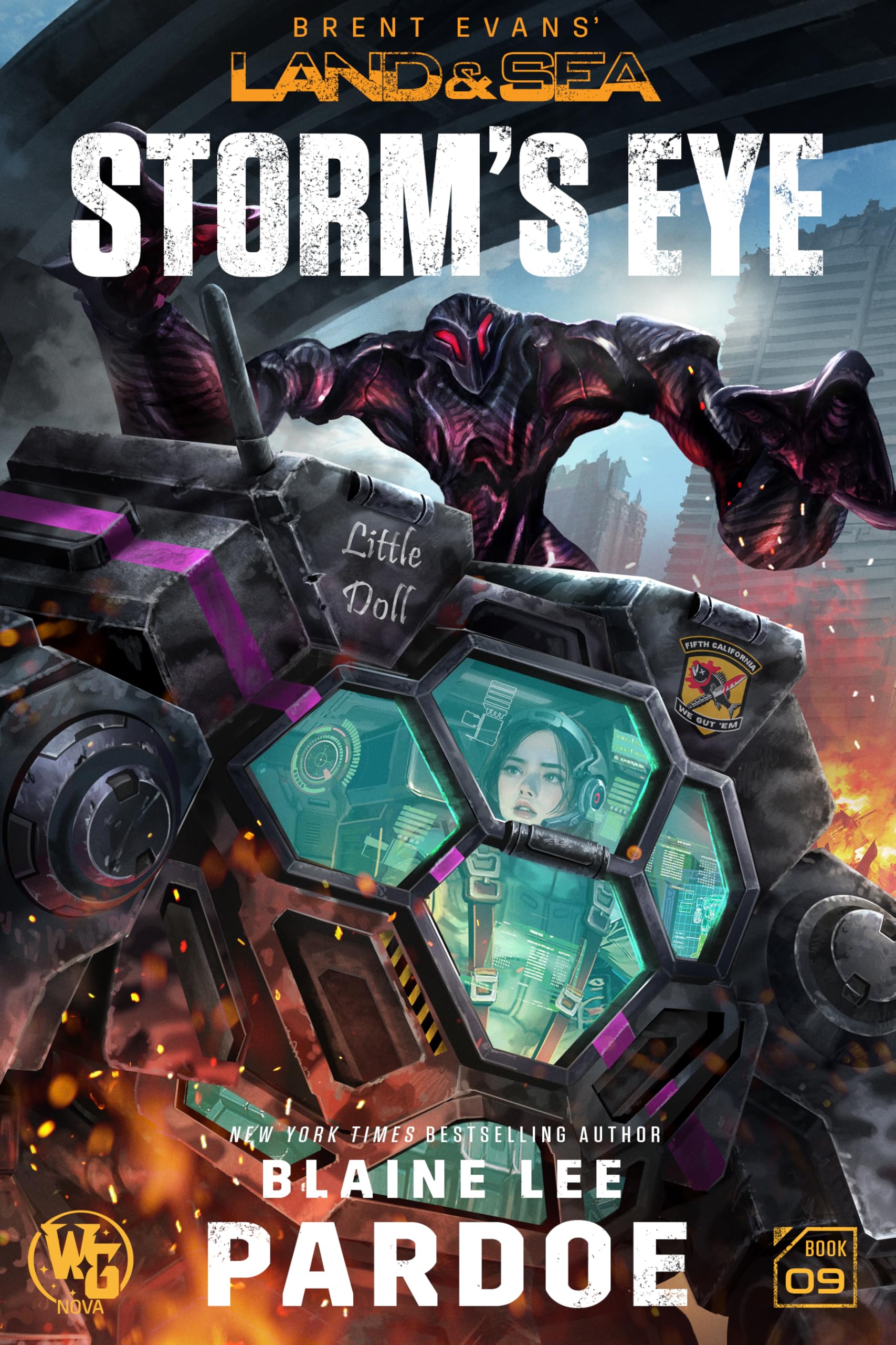 Cover of Storm's Eye