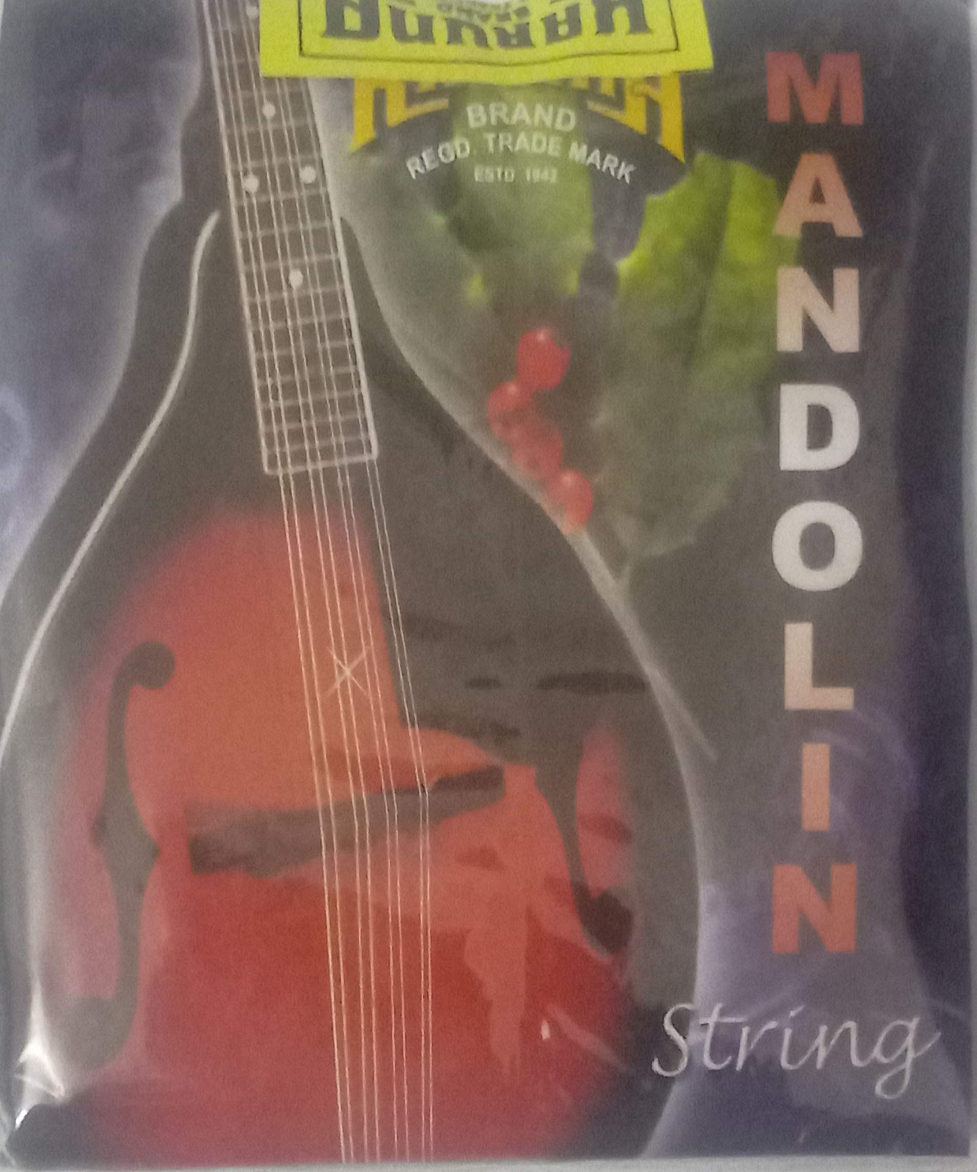 KARUNA MANDOLIN STRING BY CHENNAI MUSICALS - Image 2 thumbnail