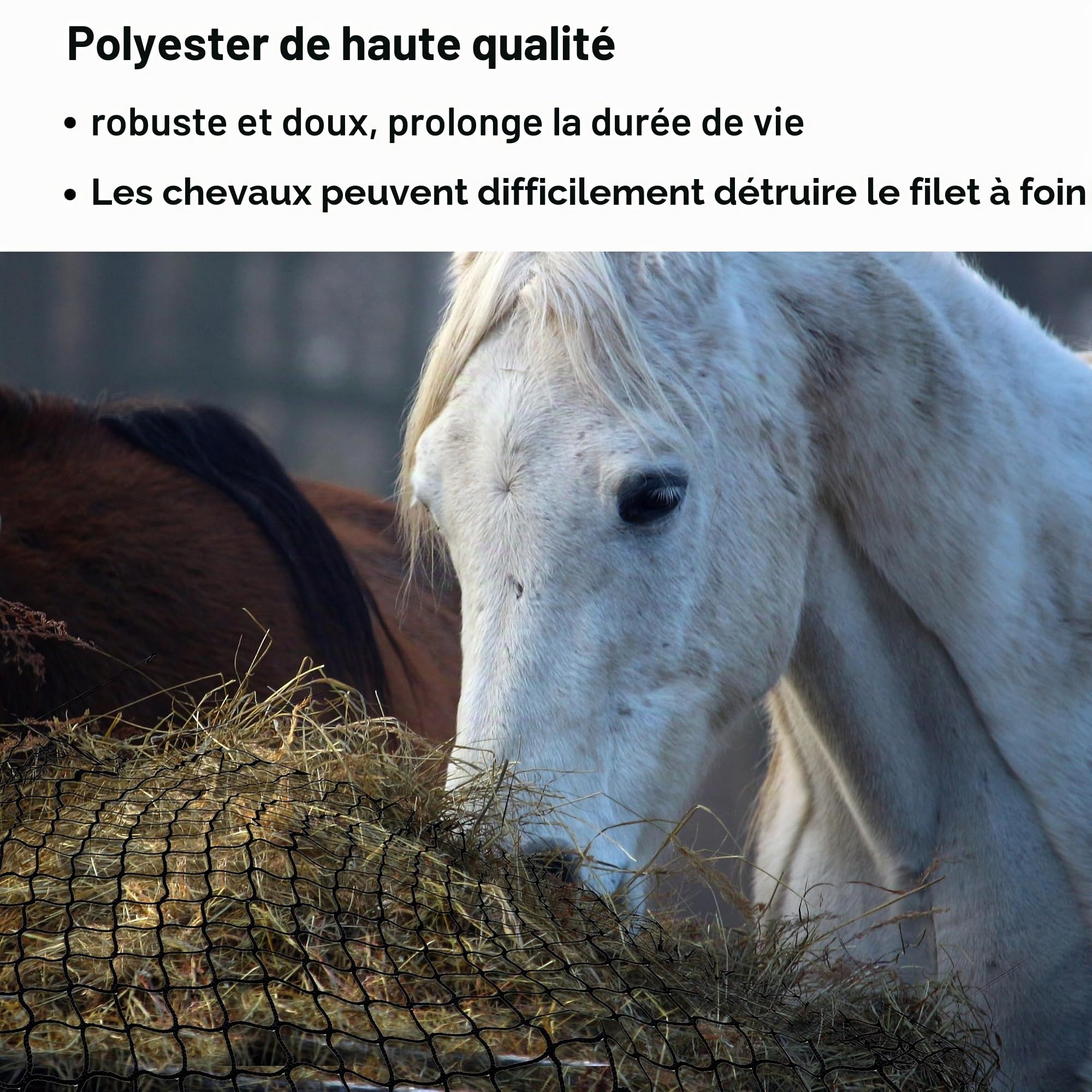 Filet à foin rond - Résistant à l'usure - Pour chevaux - Diamètre : 150 cm - Hauteur : 150 cm - Largeur des mailles : 4,5 x 4,5 cm - Pour prolonger le temps de nourriture des chevaux