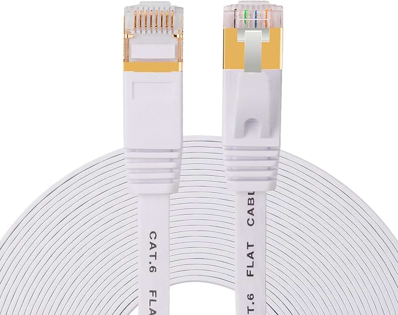 Amazon.ca long cable