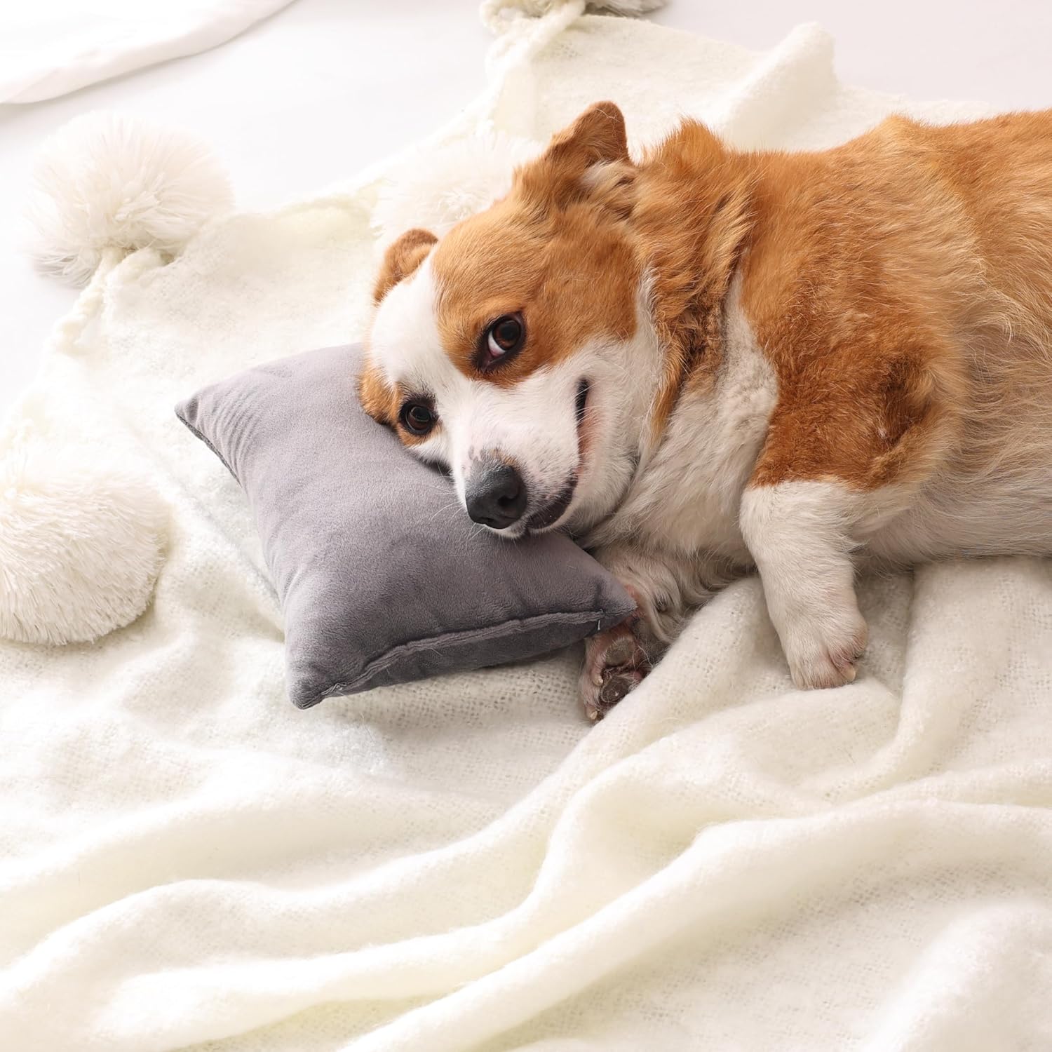 EVOLIVE Tiny Pillow, 2-Pack Gray Micromink Shell Mini Pillows, 11"x7" - Machine Washable, Lightweight, Breathable Multi-Purpose Travel Pillows for Neck, Back Support, Pet Use (Grey, 7"x11") - Image 6