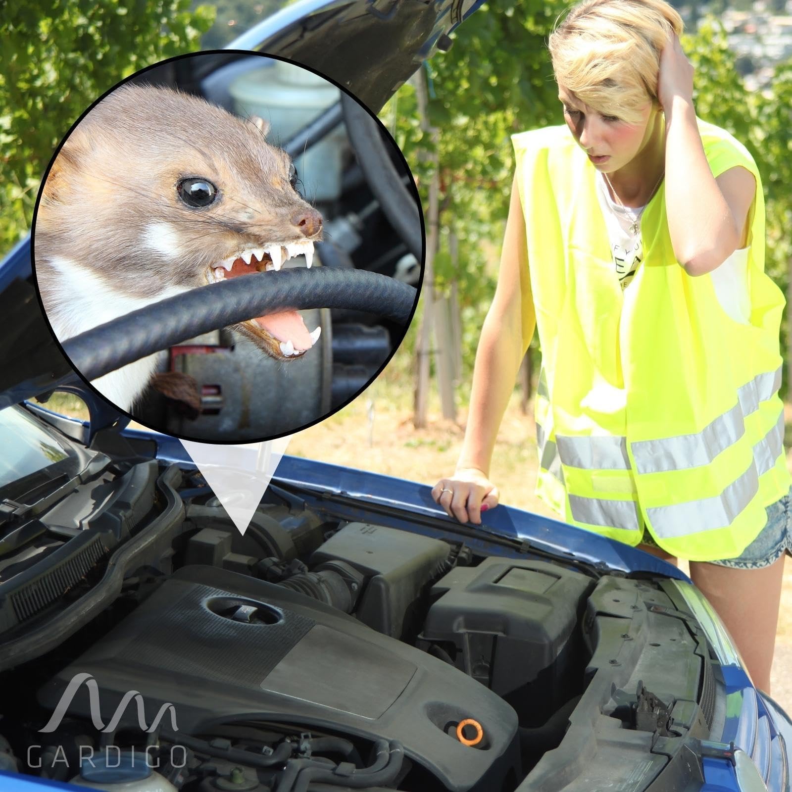 Gardigo® Repellente per Martore Auto con Scossa Elettrica, Tripla Protezione con Ultrasuoni, Luce Flash e Scossa Elettrica, Scaccia Roditori, Donnole, Martore, Procioni dal Vano Motore 400V | 12-24kHz
