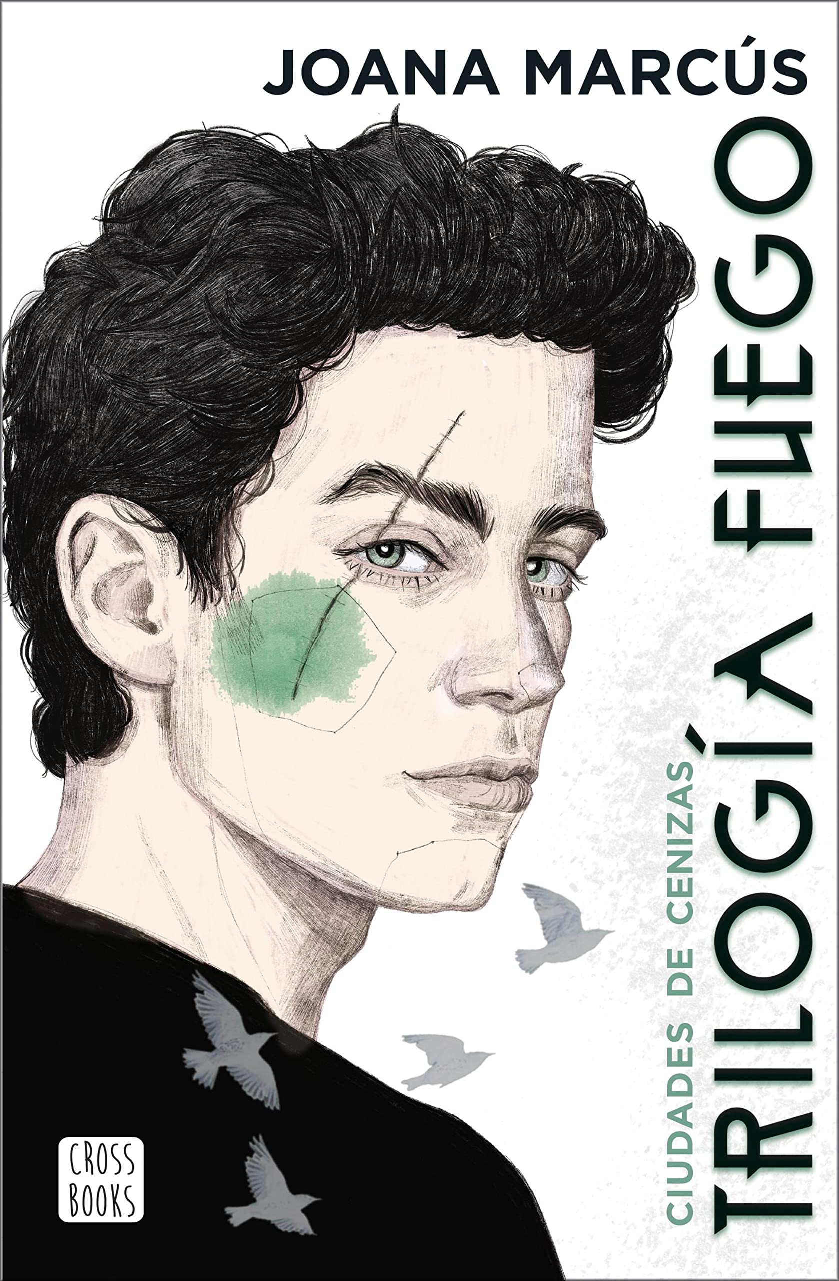 Trilogía Fuego 2. Ciudades de cenizas (Spanish Edition)