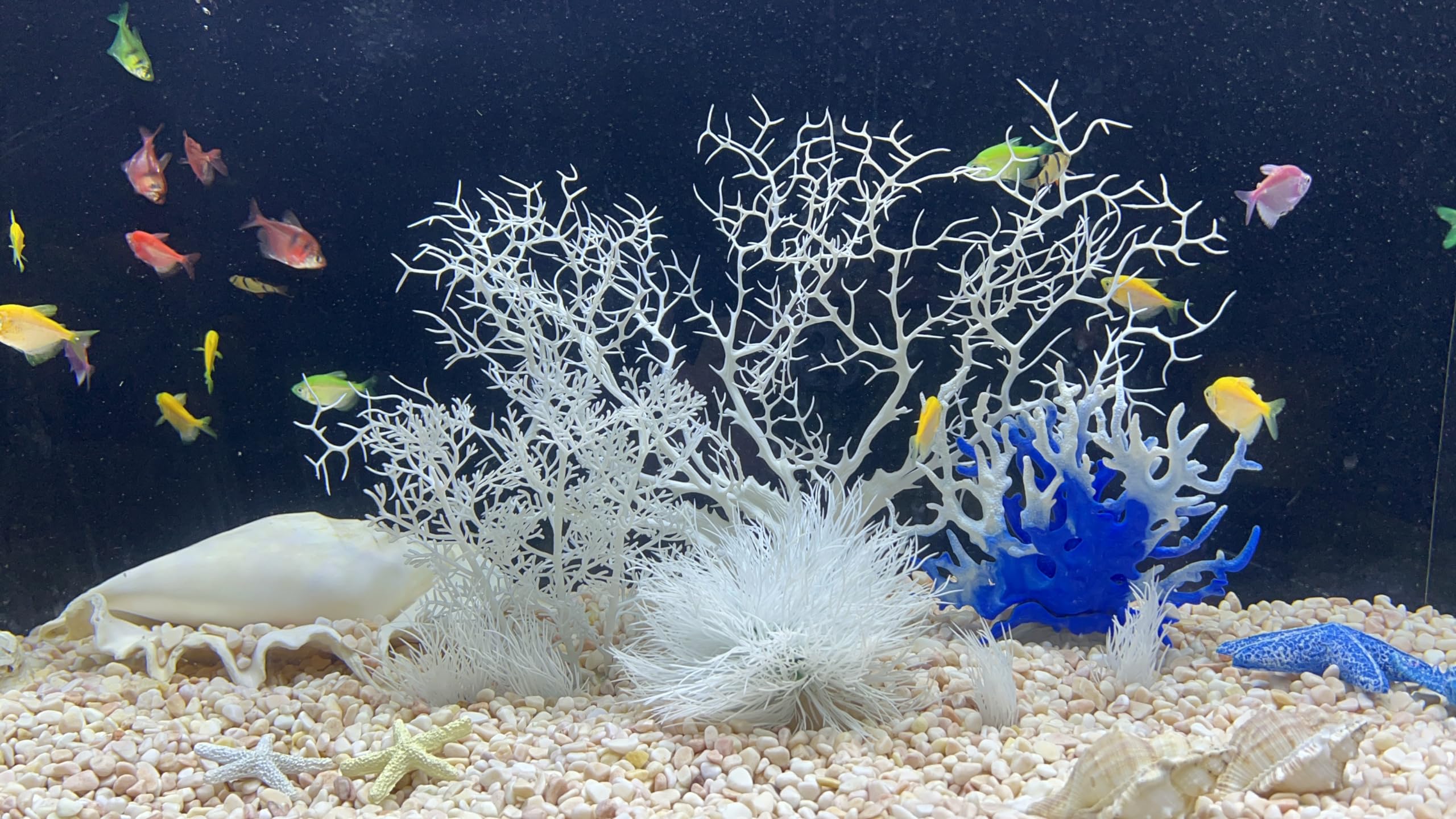 Lot de 8 coraux artificiels blancs pour aquarium - Transformez votre aquarium en un monde sous-marin