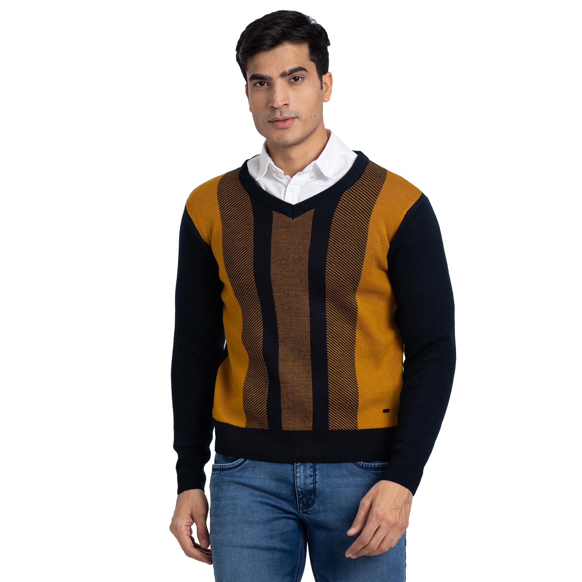 parx Men Regular Fit Intarsia Pattern Pure Acrylic Full Sleeve V Neck Casual Sweater-picture-42