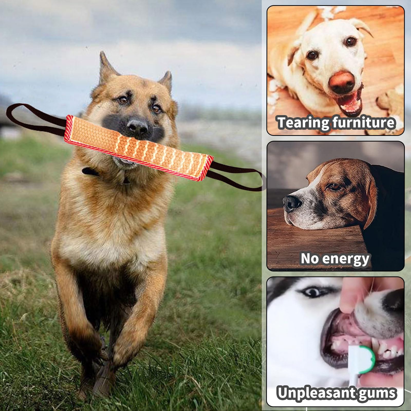 Stok 120 cm hondentraining - Sport en Spel voor dieren