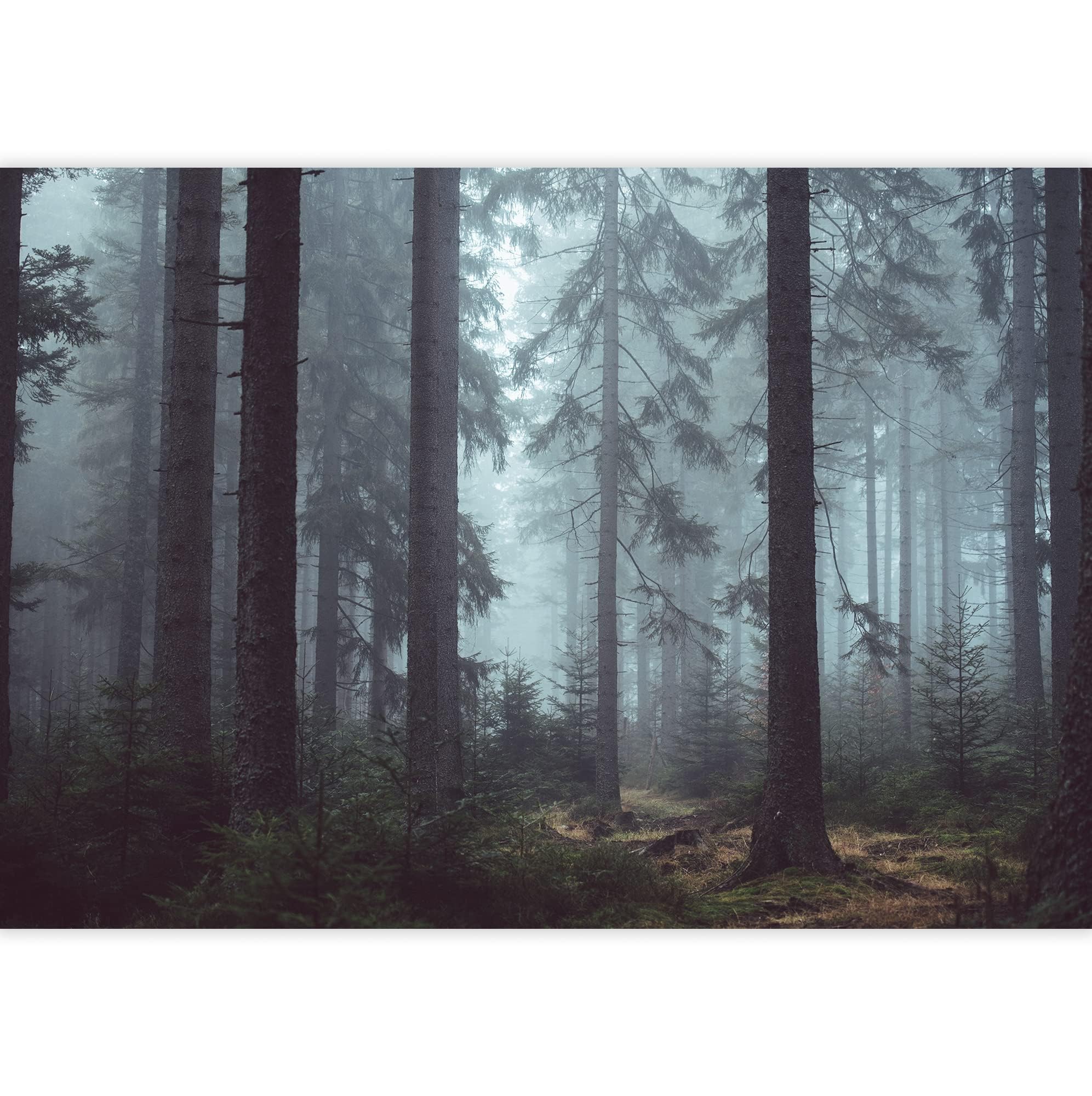 Papier Peint Adhésif 3D Romy Forêt été M4837 – Stickers Muraux Amovibles