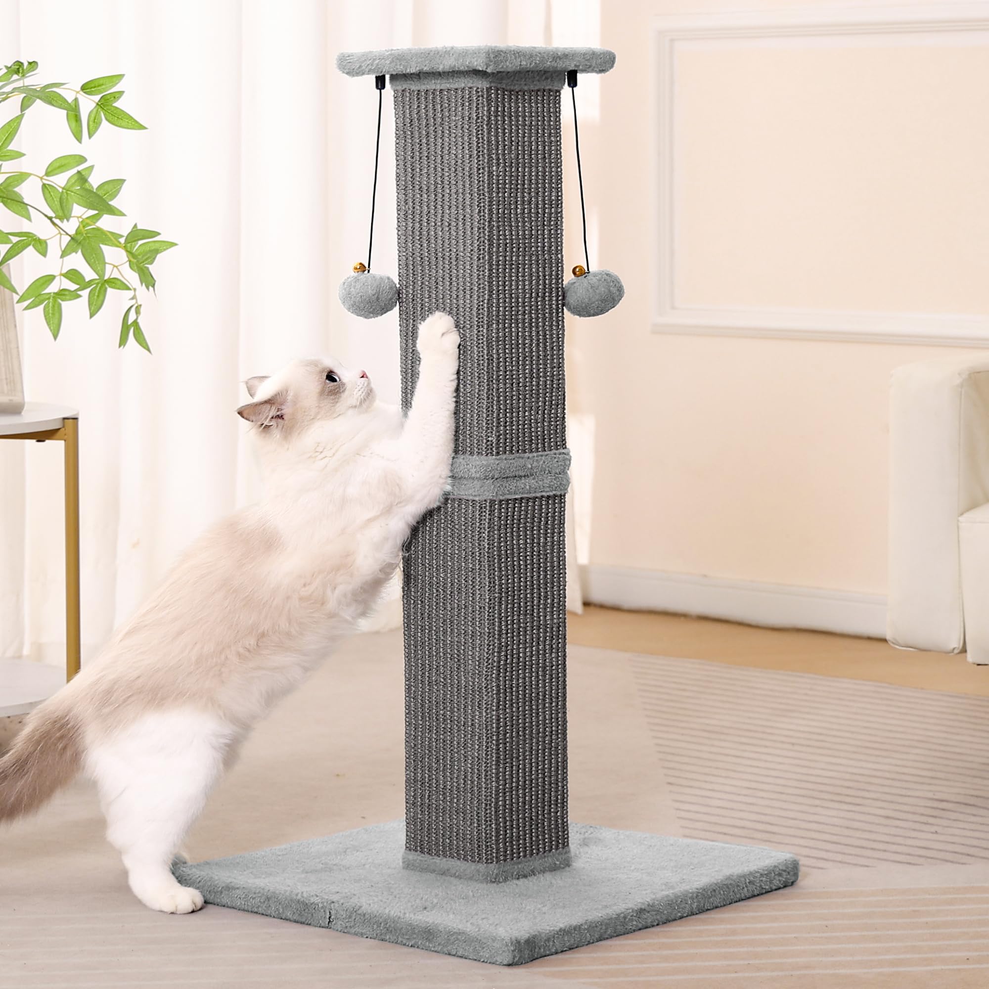 Go to store page for "Cat Scratching Post". - image 6