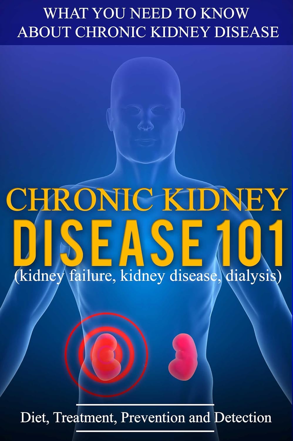 Kidney Disease for beginners What You Need to Know About