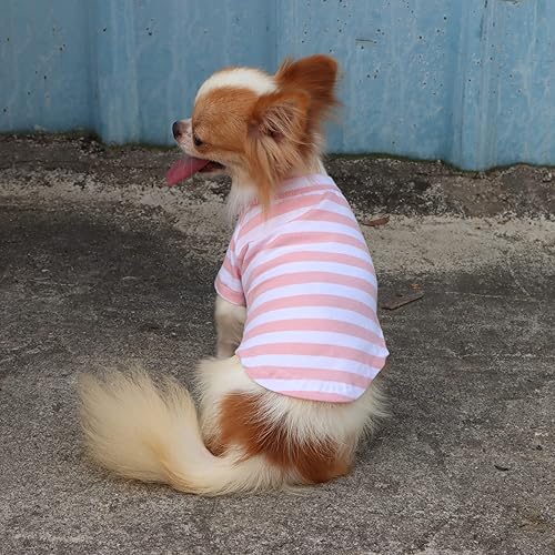 Miniatura 6 de LOPHIPETS Camiseta de algodón 100% transpirable a rayas para perros pequeños, taza de té Chihuahua Yorkie para cachorros, rayas azules y blancas, S