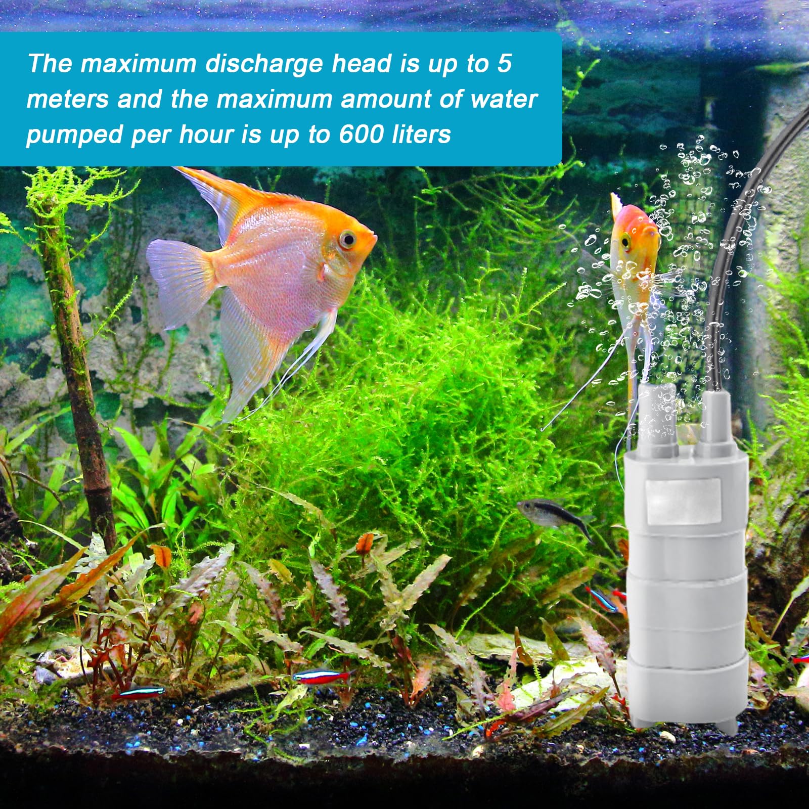 Pompa Sommergibile 12V JT-500 - 600 L/h, Altezza 5m, Per Acquari, Stagni, Irrigazione - Foto 11