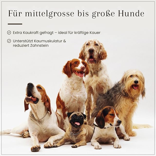 Foto 6 de 7 de Dog Time Alimento para mascotas Piel de vacuno 500 g secado I Bocadillo masticable saludable I 100% carne…