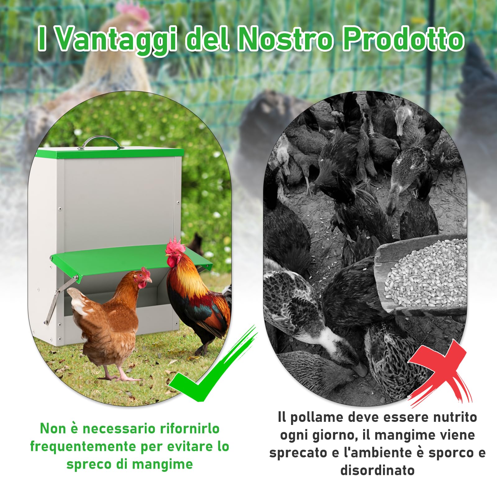 Mangiatoia Automatica Per Polli da 11 Kg Mangiatoia Per Pollame a Parete,Mangiatoia Per Pollame Senza Rifiuti,Mangiatoia Antipioggia Per Esterni Per Impieghi Gravosi Per Polli,Anatre,Tacchini D'Oca