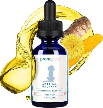 PranaPets Adrenal Balance for Dogs with Cushings | Naturally Relieves Symptoms of Adrenal Imbalance in Dogs | Herbal Formula for Balanced Adrenal Function