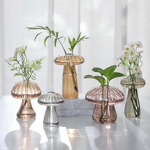 Glasseam Macetero de vidrio de hongos para plantas juego de 5 estaciones de propagación de plantas hechas a mano, pequeños tarros hidropónicos de
