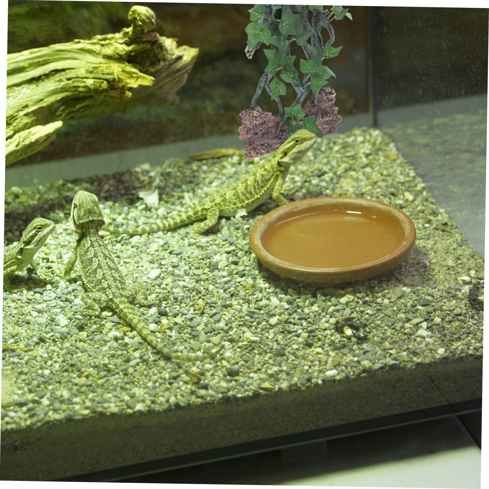 Yardwe Ramo Artificiale in Resina Decorazione Per Acquario Ramo Albero Pianta Artificiale Da Te Accessori Per Acquari Per Rettili Sfondo Per Acquari Per Rettili
