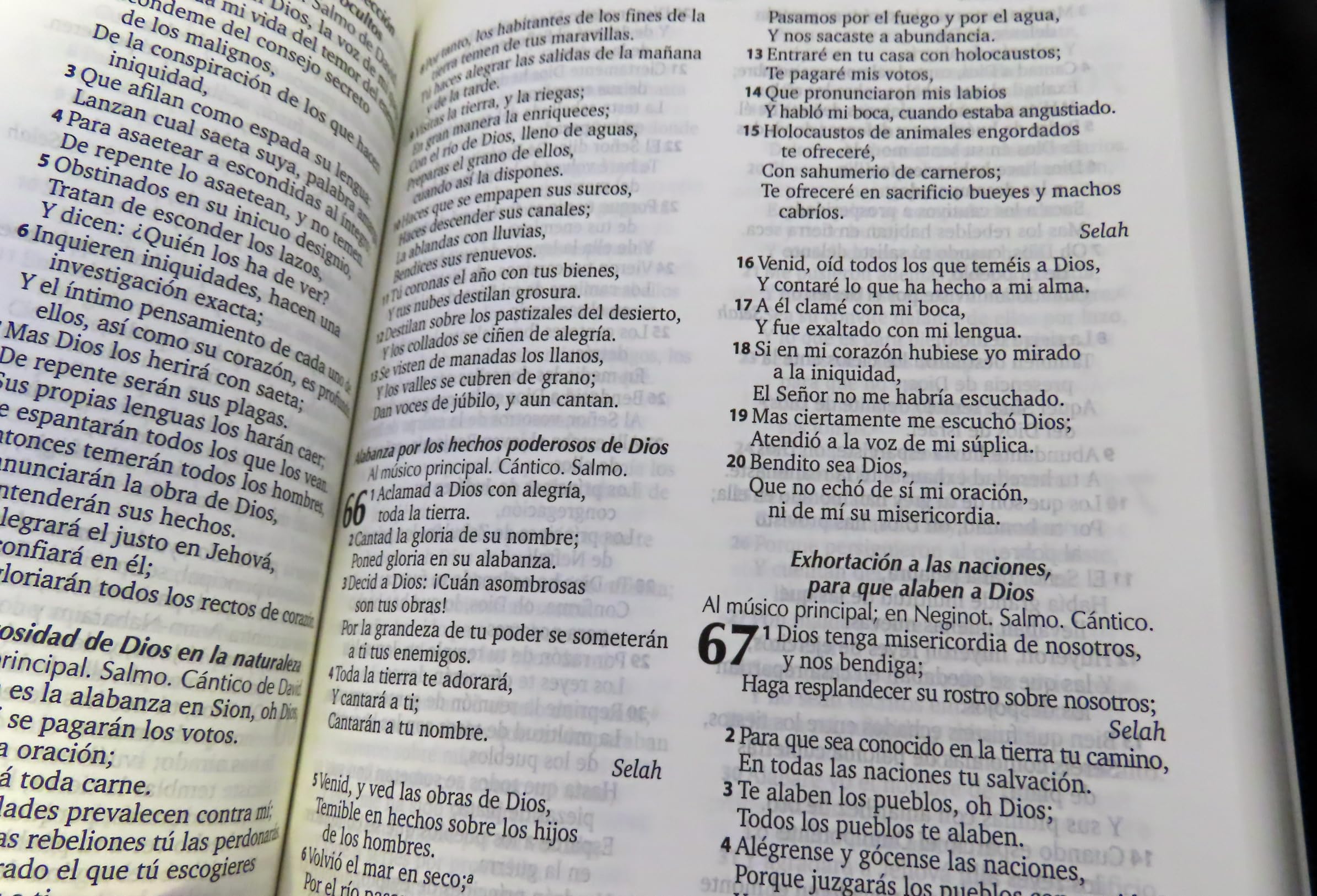 Genérico Reina Valera Biblia RV 1960 Piel Sintética con Cremallera | Letra Legible | Compacta y Fácil de Transportar
