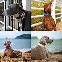 Vista 4 de ARING PET Correa para perro, correas de terciopelo para perro, collares a juego, hecha a mano, resistente correa de terciopelo negro para perros